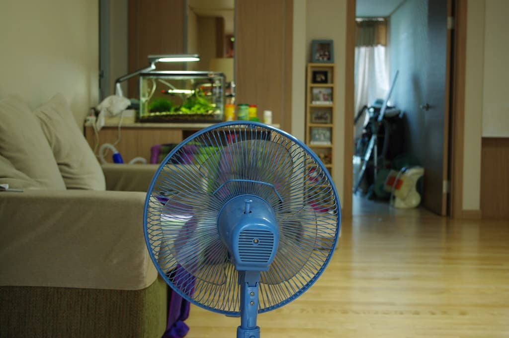 여름 선풍기 더 시원하게 사용하는 방법 3가지, 냉풍기처럼 쓰는 꿀팁 4