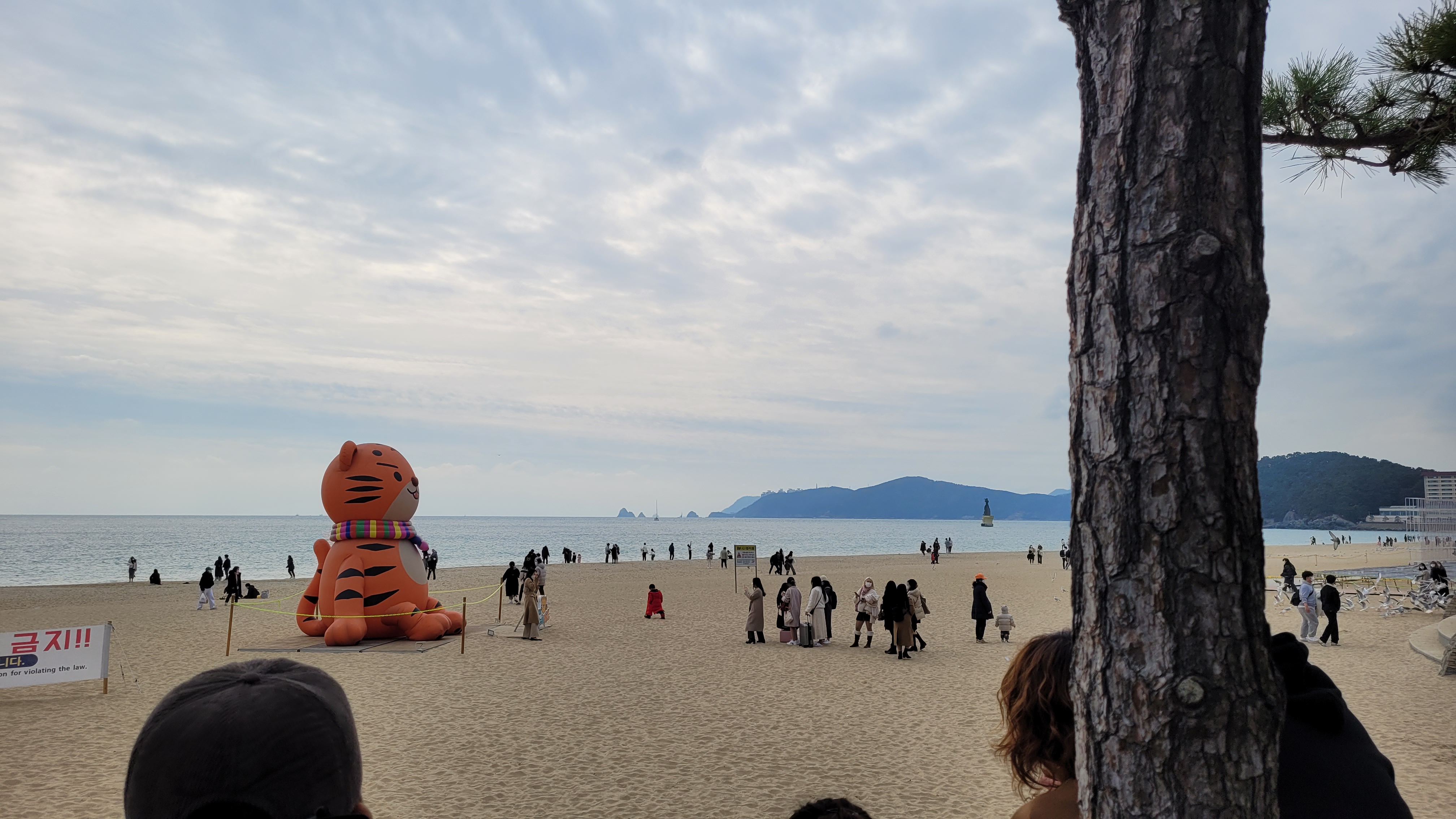 해변 모래사장 위, 무지개 목도리 호랑이 풍선, 흐린 하늘 바다.