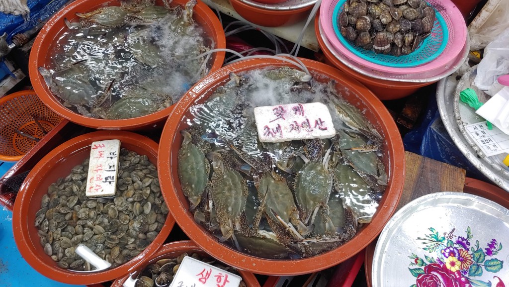 싱싱한 활 꽃게, 바지락, 여러 해산물 담긴 시장 용기