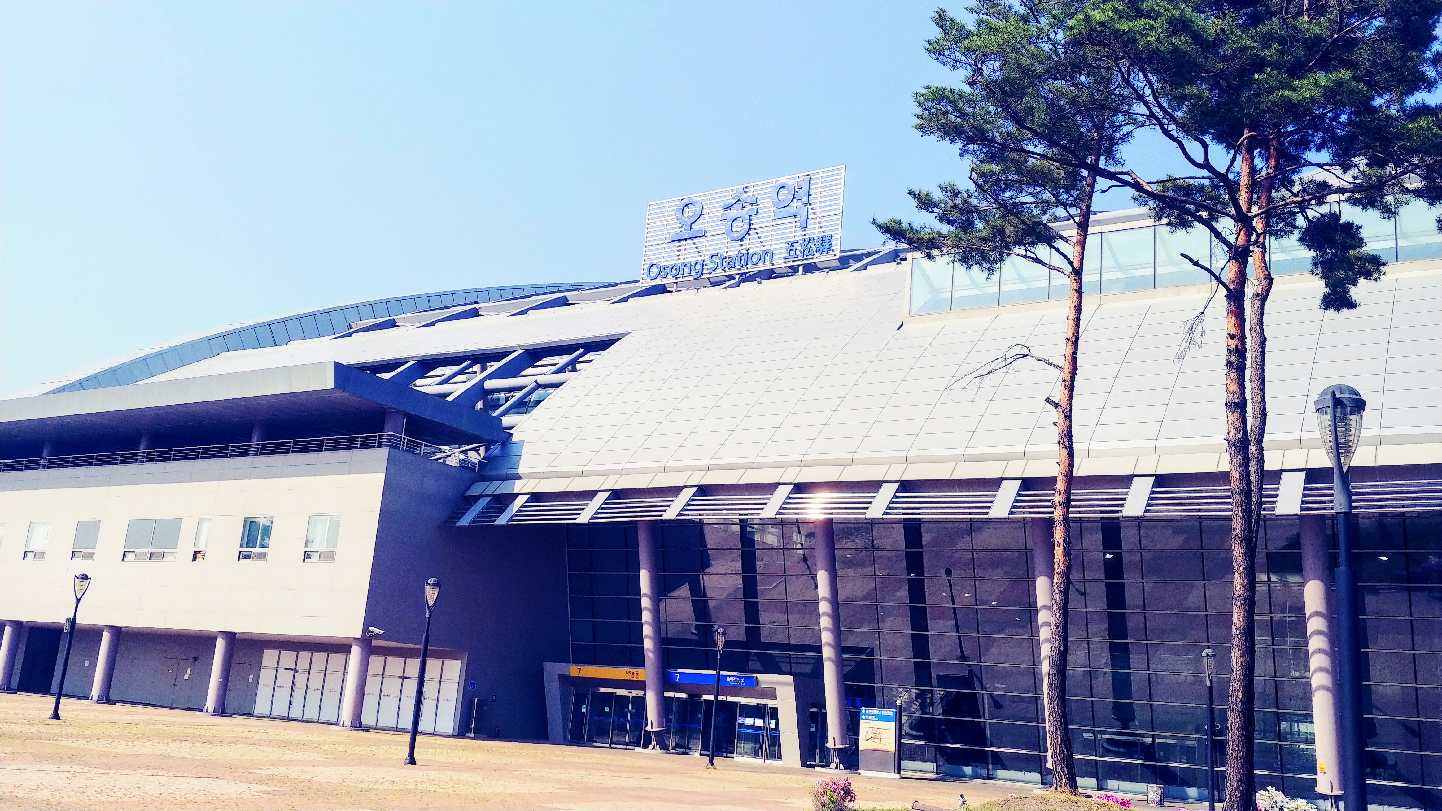 오송역 현대적 건물, 유리 외벽, 소나무, 맑은 하늘