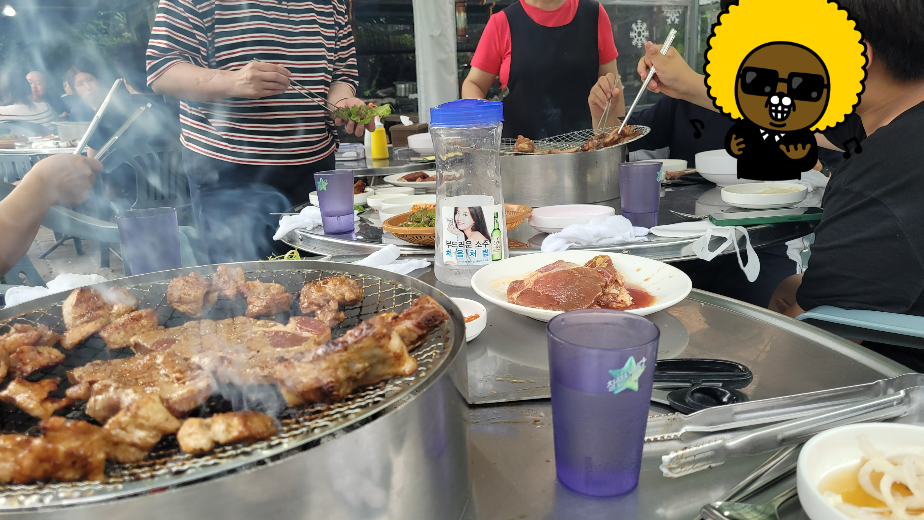 은빛 쑥 식물, 갈색 흙에 돋아나는 어린 풀들.