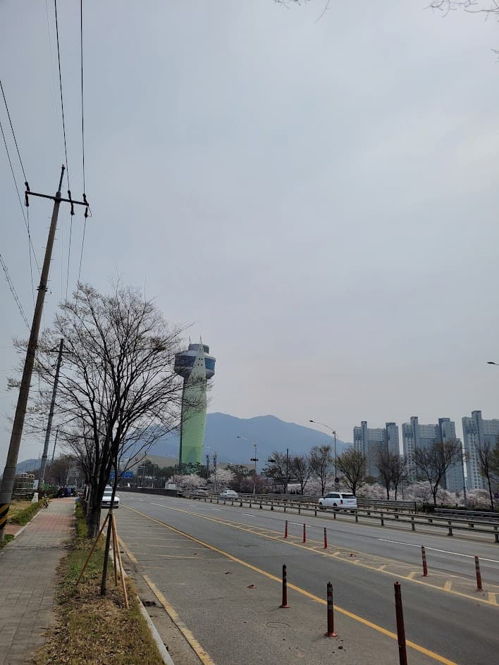 흐린 도시 도로, 녹색 전망 타워, 아파트, 벚꽃, 산.