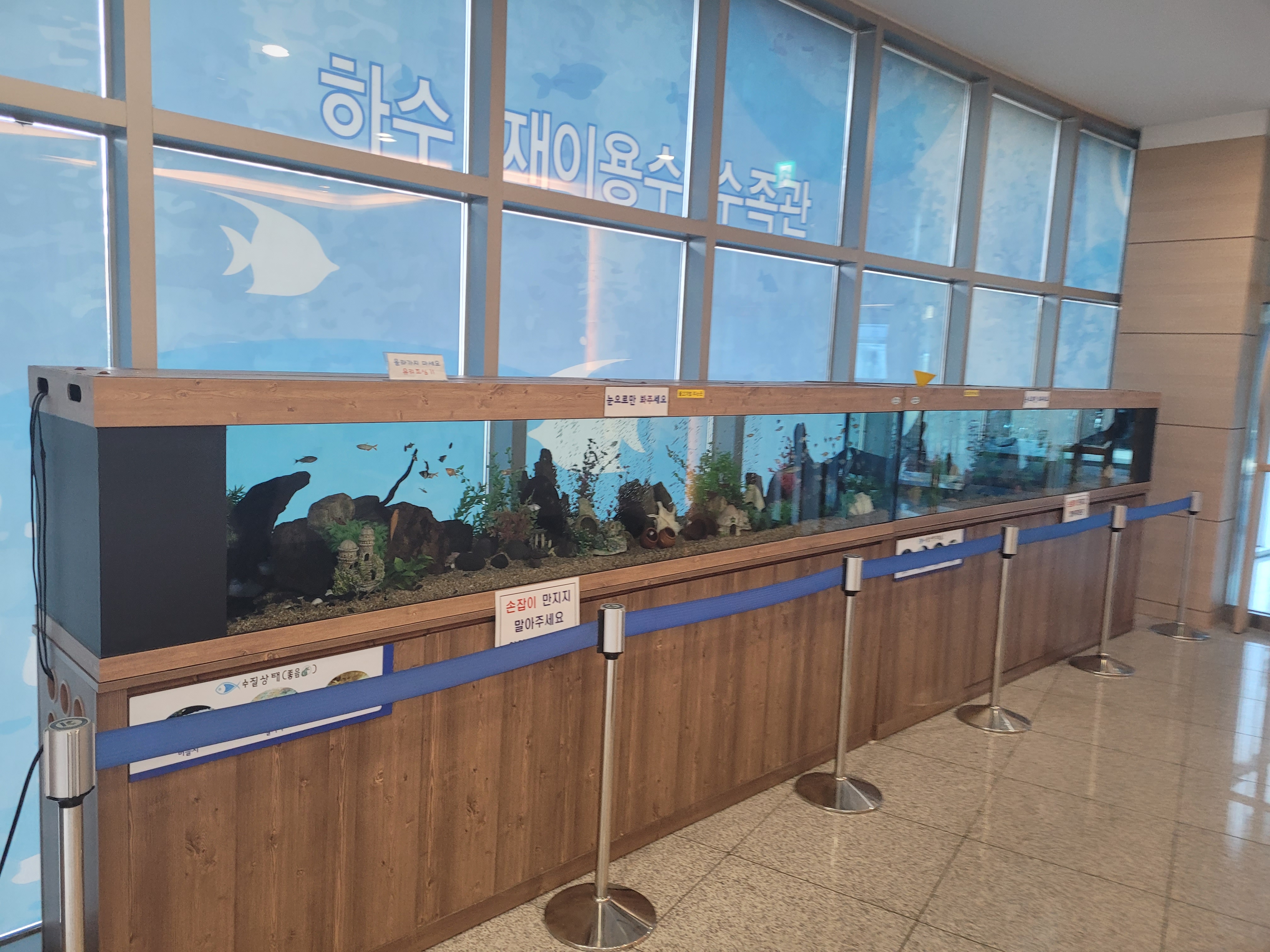 긴 재이용수 수족관 안 물고기, 수초, 바위 장식, 바닥 타일, 안내문