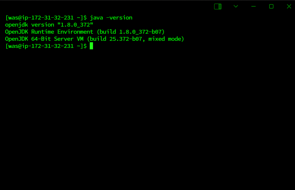 터미널 창, OpenJDK 1.8.0_372 버전 상세 정보