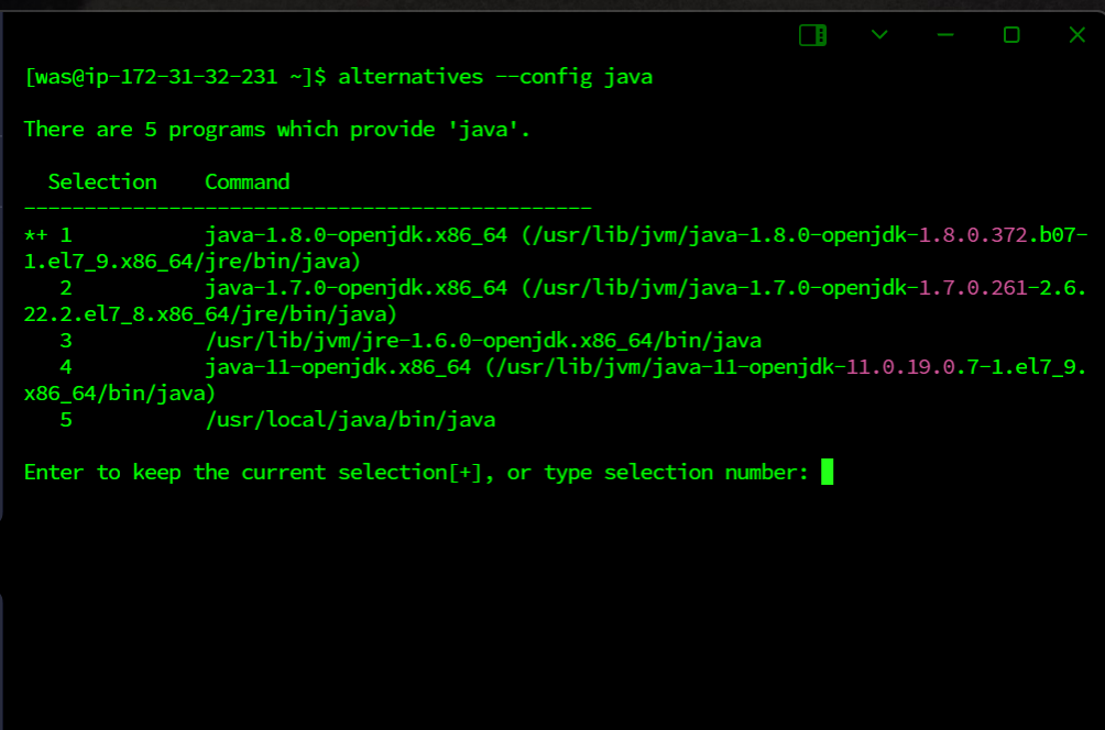 검정 터미널, alternatives --config java 명령, 여러 자바 버전 선택 화면
