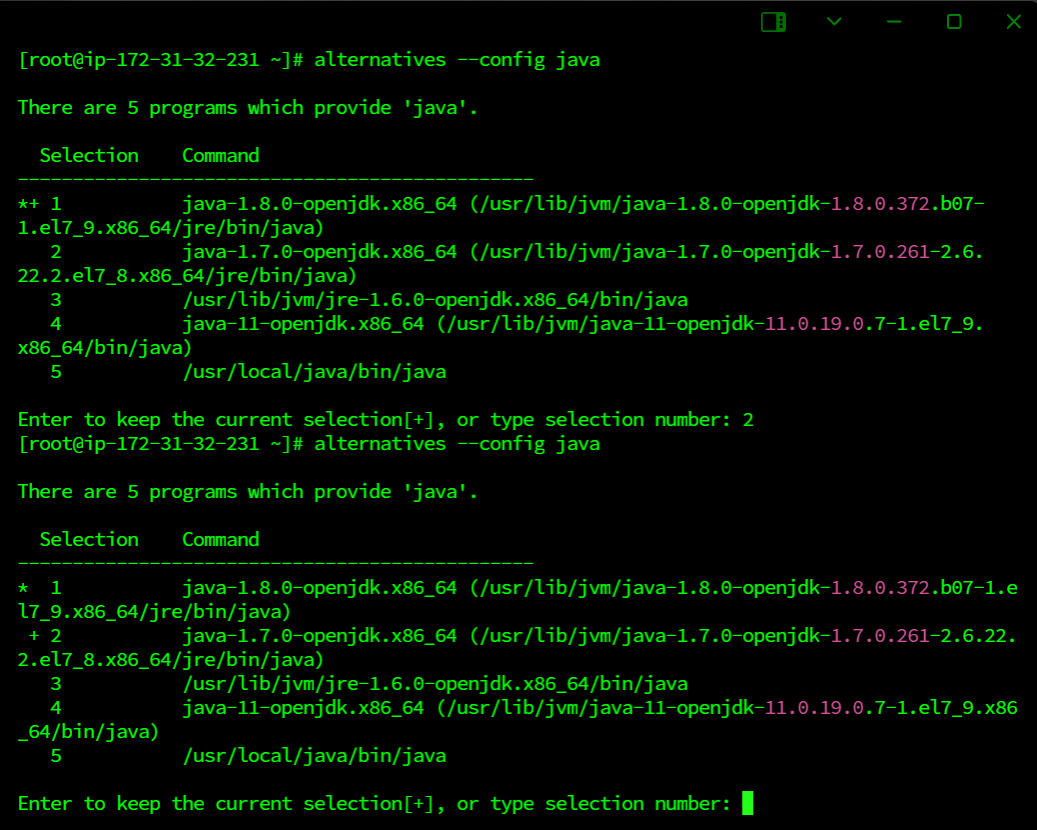 콘솔 alternatives config 자바 명령어, 버전 선택 목록