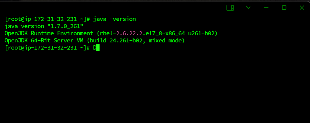 터미널 OpenJDK 1.7.0_261 버전 런타임 환경 및 64비트 서버 VM