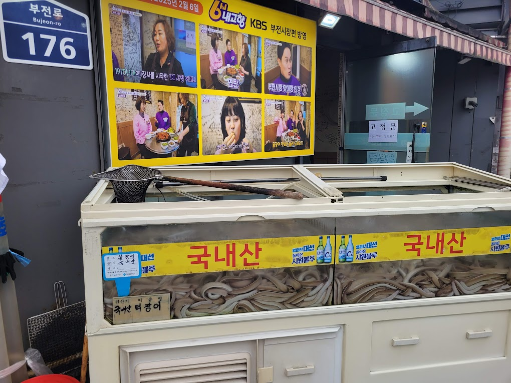 야외 수조 국내산 먹장어, KBS 방송 화면 상단.
