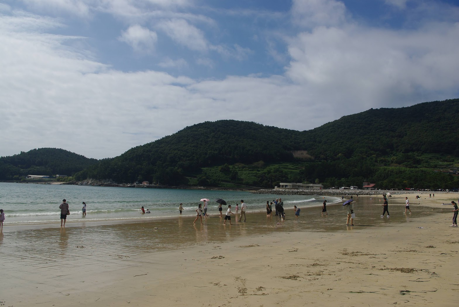 황금빛 해변, 푸른 바다, 숲 우거진 산, 평화로운 해변 활동