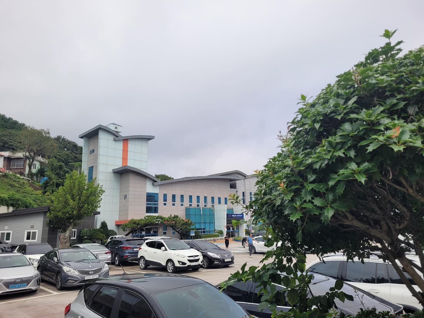 회색 푸른색 현대 건물 주차장, 다양한 차량, 울창한 나무