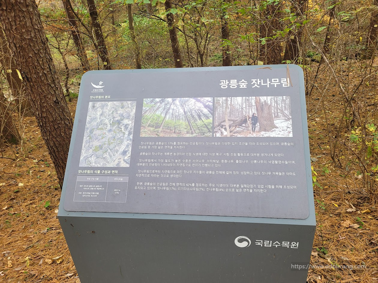 광릉숲 잣나무림 안내판, 숲속 국립수목원 생태 정보