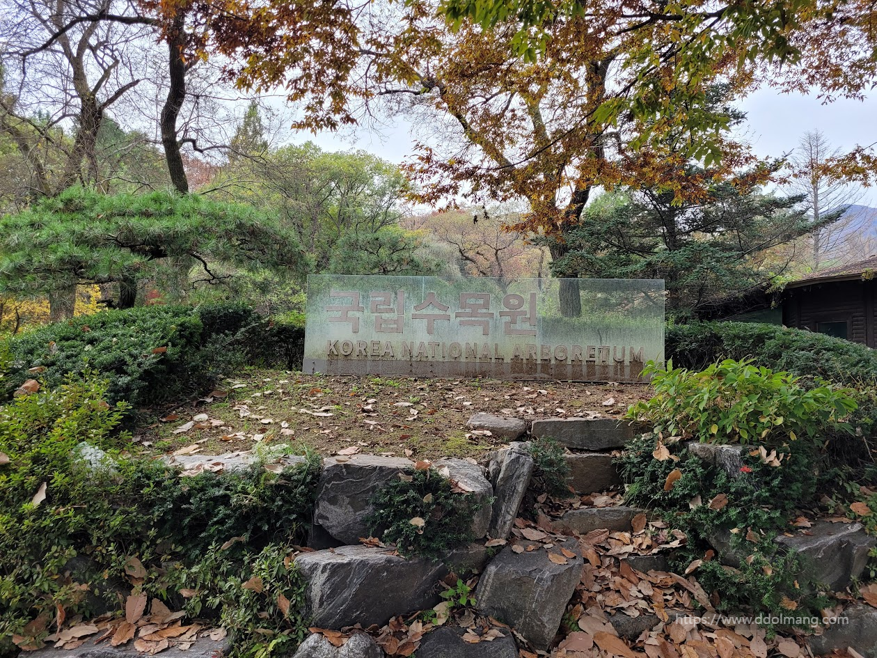 국립수목원 표지판, 울창한 가을 숲, 낙엽 덮인 돌계단