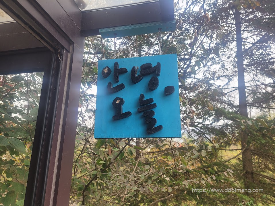 야외, 파란색 나무 표지판 '안녕, 오늘', 나무 배경