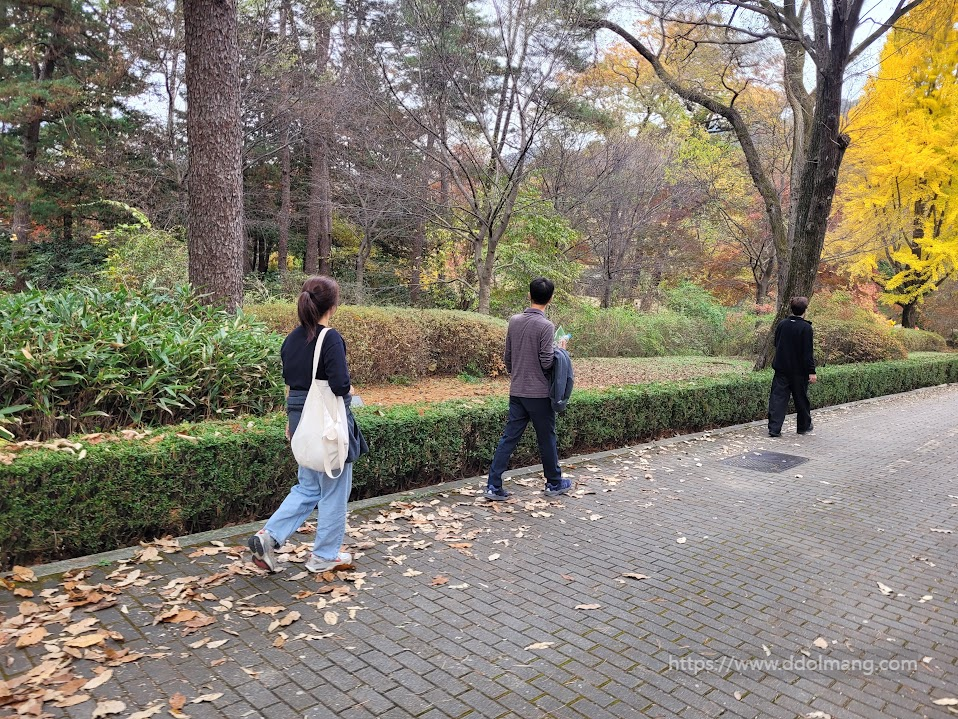 가을 공원 산책로 걷는 이들, 노란 은행나무 낙엽