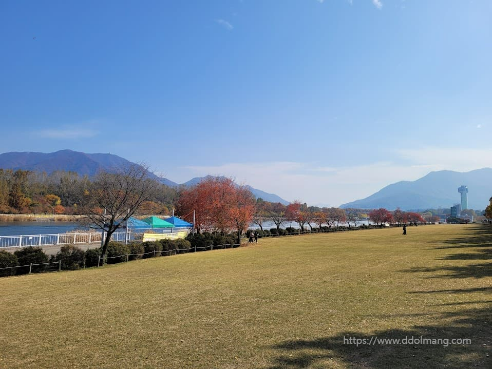 가을 강변 공원 넓은 잔디밭, 산 배경 단풍나무, 타워