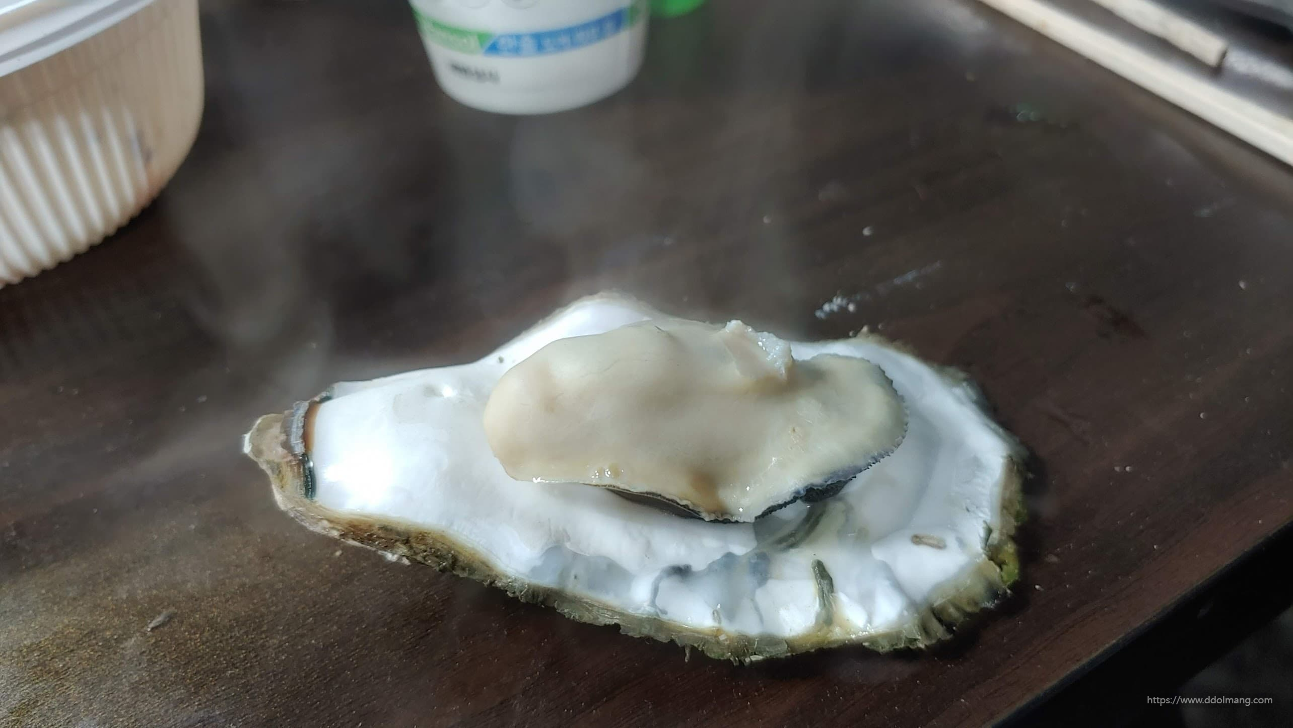 갓 쪄낸 통통한 굴 껍데기 위 김 모락모락 나무 탁자