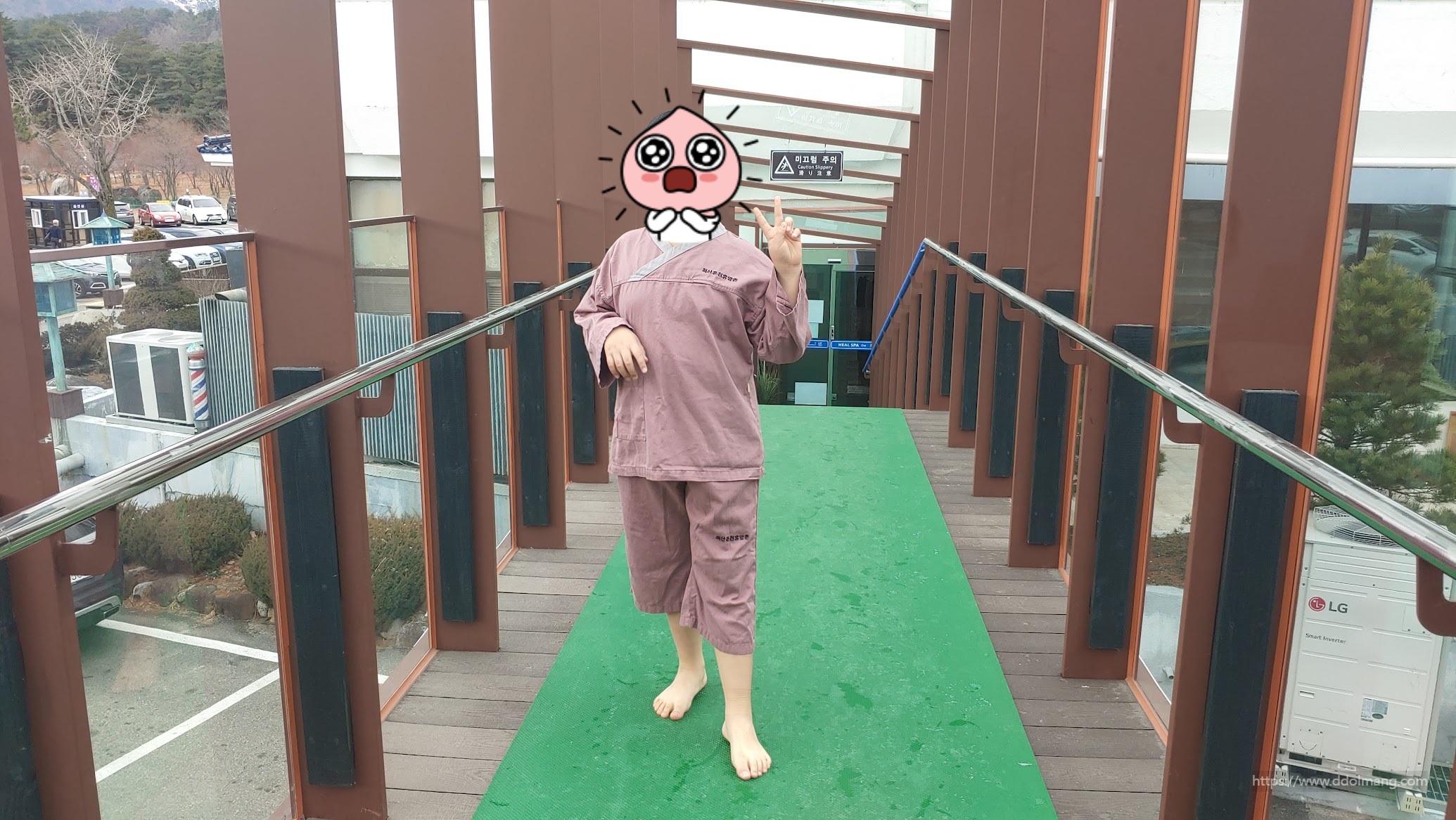 겨울에 가기 좋은 강원도 여행지 완전 정리 | 겨울바다·눈 여행·스키·온천 3