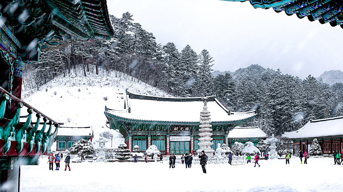 한국 전통 사찰, 하얀 눈, 설원 소나무, 석탑