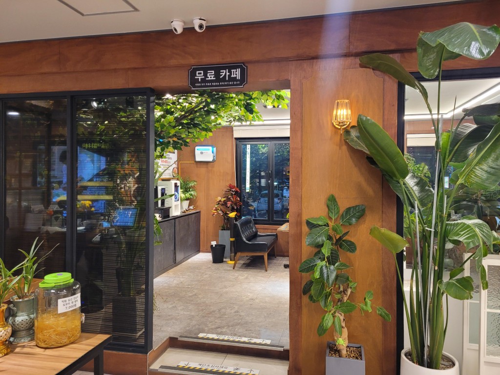 우드 벽 무료 카페 출입구, 푸른 식물 장식과 아늑함