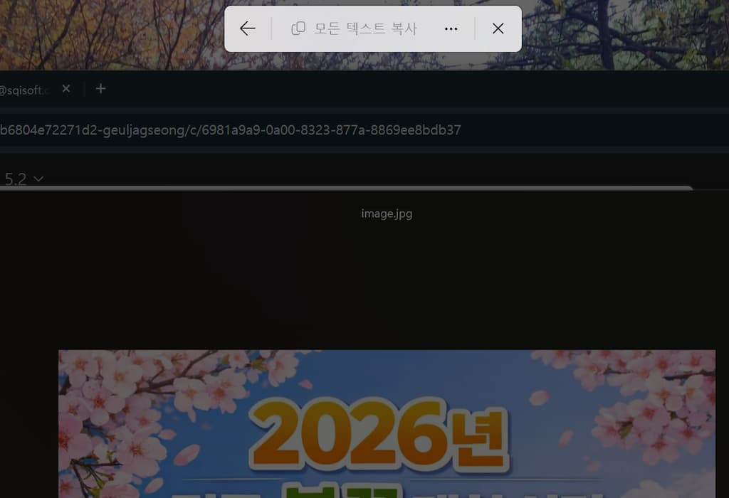웹 브라우저, 텍스트 복사 기능, 2026년 벚꽃 배너 광고