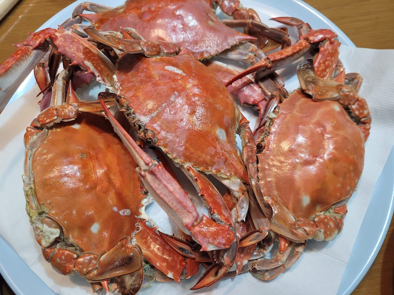 흰 접시에 놓인 주황색 찐 게, 풍성한 해산물 요리