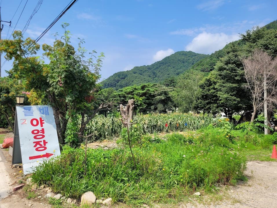 돌배 야영장 표지판, 푸른 하늘, 산, 울창한 숲, 옥수수 밭