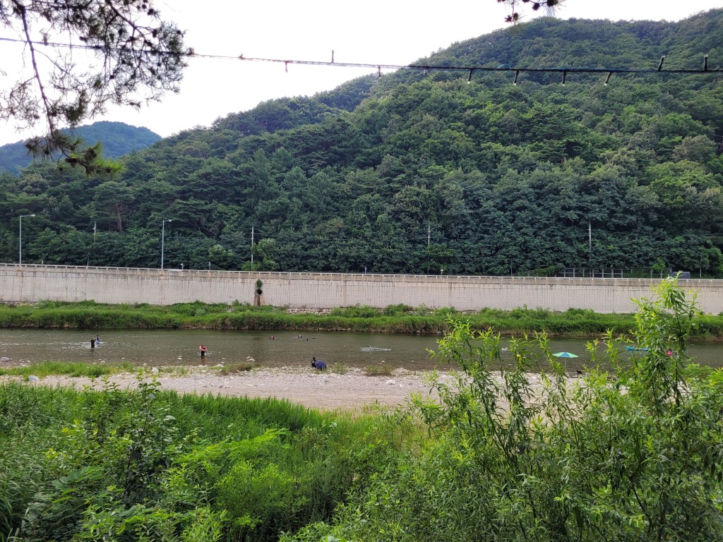 울창한 산, 맑은 하천, 물놀이 즐기는, 여름 휴식