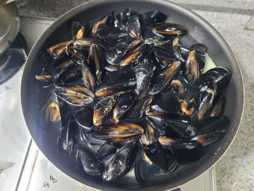 끓는 물에 검은 홍합 가득한 조리 팬 요리