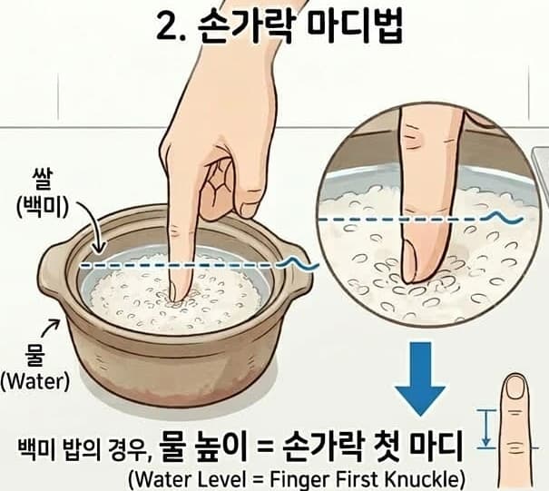 밥 짓는 법: 손가락 첫 마디 이용 물 높이 측정