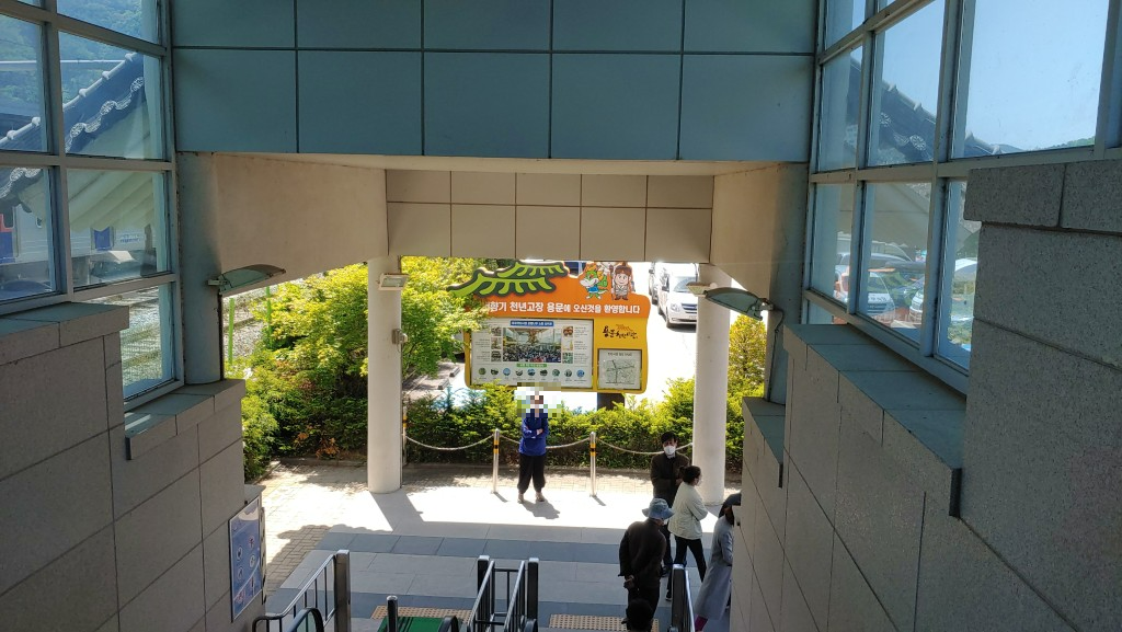양평 산나물 축제 2026 일정·주차 총정리|용문산 4월 가볼만한 곳 6