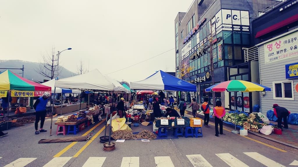 양평 산나물 축제 2026 일정·주차 총정리|용문산 4월 가볼만한 곳 3