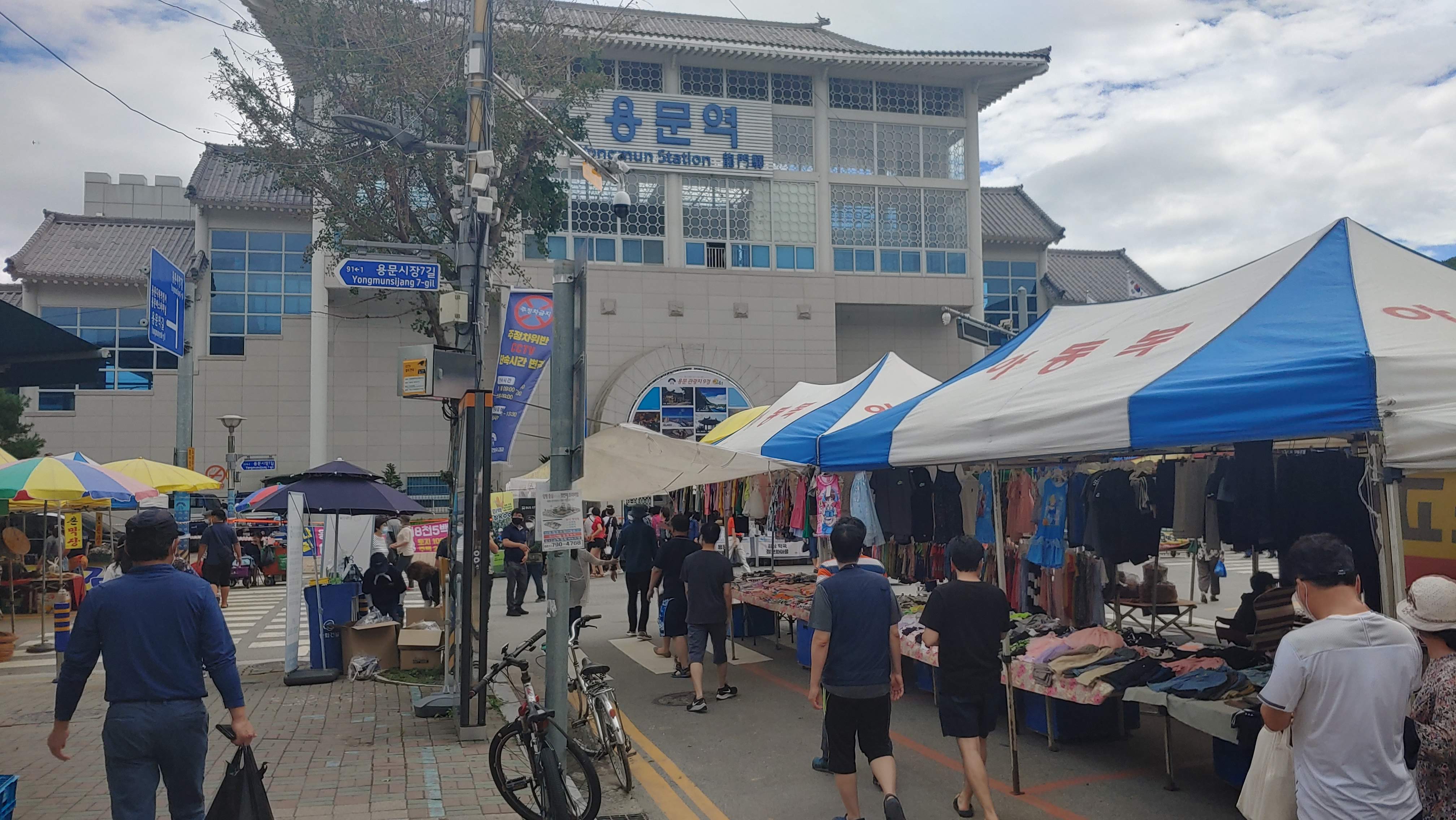 양평 산나물 축제 2026 일정·주차 총정리|용문산 4월 가볼만한 곳 4