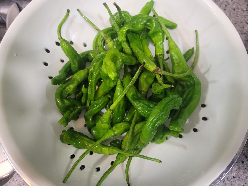 꽈리고추 간장조림 레시피｜간장·물 비율이 맛을 좌우합니다 2