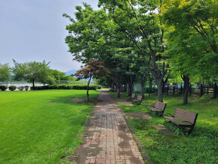 호수 옆 푸른 잔디, 나무 벤치, 공원 산책로