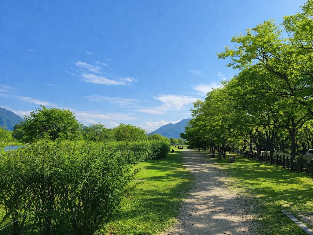 맑은 날, 녹음 가득한 공원 길과 저 멀리 산.