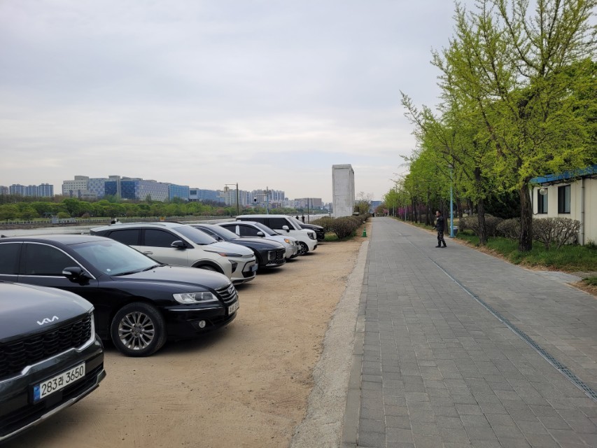 강변 주차 차량들, 신록 가로수길, 먼 거리 도시 전경