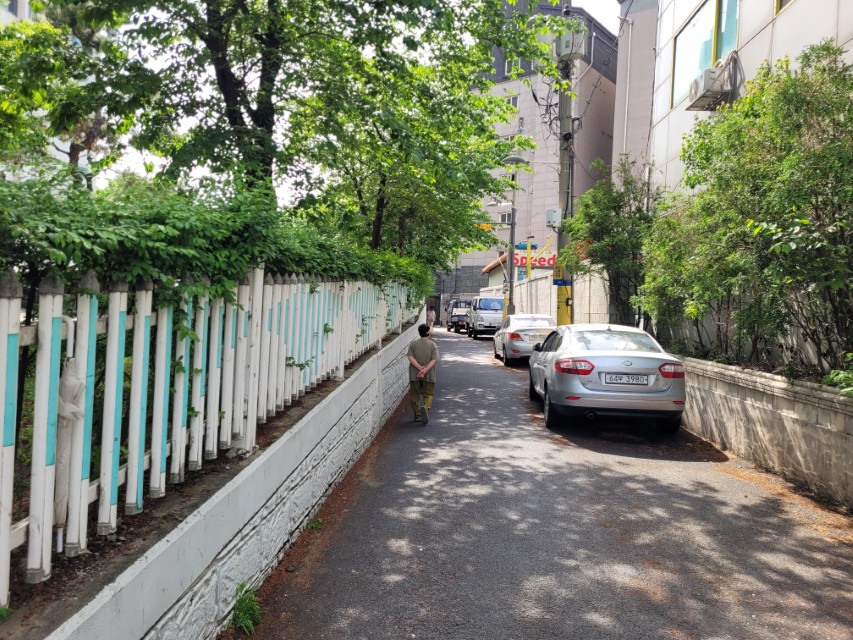 좁은 골목길, 흰색 파란색 울타리, 주차 차량, 녹음 짙은 길 걸음.