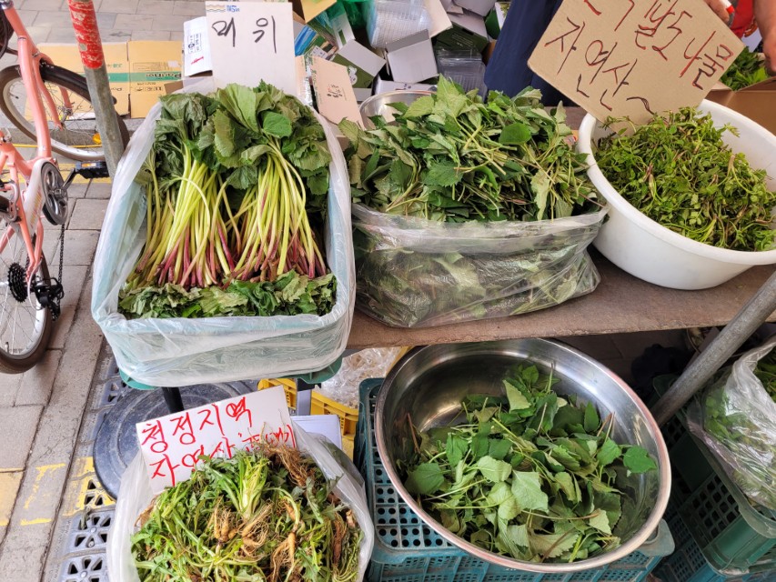 청정지역 자연산 머위, 산나물, 야생 채소 시장 판매.