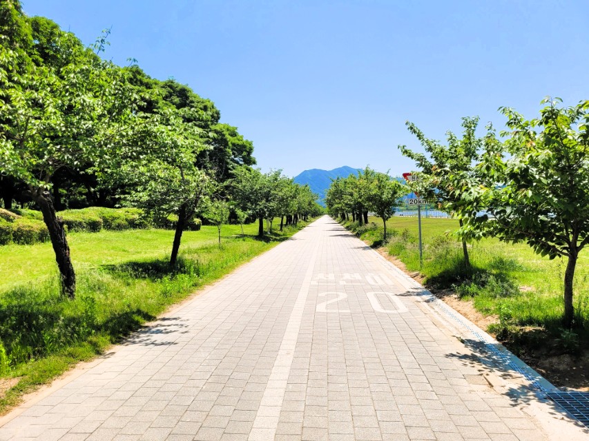 무더운 여름날 저녁 추천메뉴 BEST 3|시원한 국수부터 든든한 닭백숙까지 1
