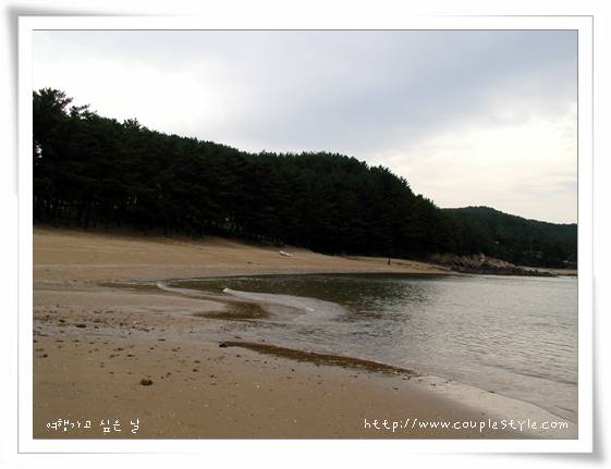 넓은 모래 해변, 잔잔한 바다, 울창한 소나무 숲, 흐린 하늘.