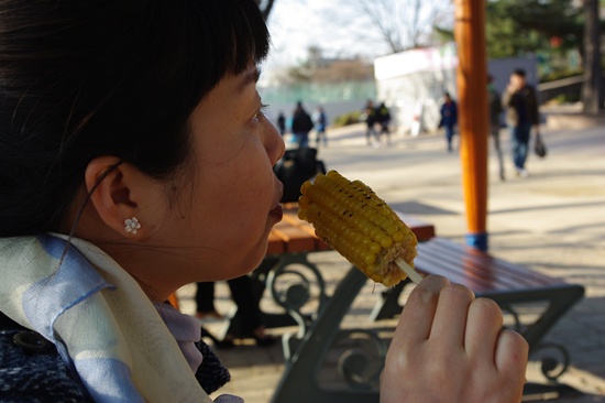 2009년 봄 그리고 즐거움 : 단양 구인사, 문경 석탄박물관 4