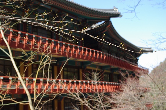 2009년 봄 그리고 즐거움 : 단양 구인사, 문경 석탄박물관 7