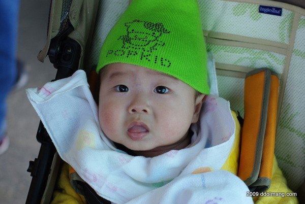 녹색 POPKID 비니 착용, 호기심 어린 얼굴, 유모차