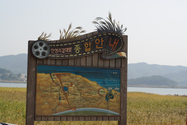 신성리 갈대밭 종합안내판, 지형 지도, 강, 황금빛 갈대밭