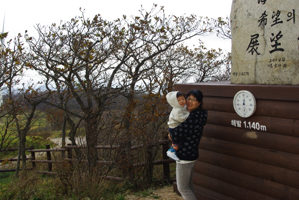 동해여행(1) – 대관령 삼양목장 가을 가족여행 후기: 아내 생일 기념 아이와 떠난 힐링 코스(10/17) 8