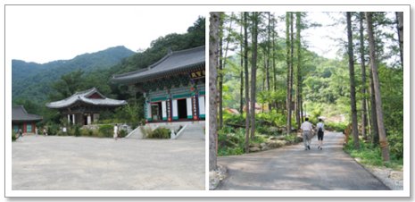 산사 건축, 푸른 산과 숲길, 두 행인 걷기