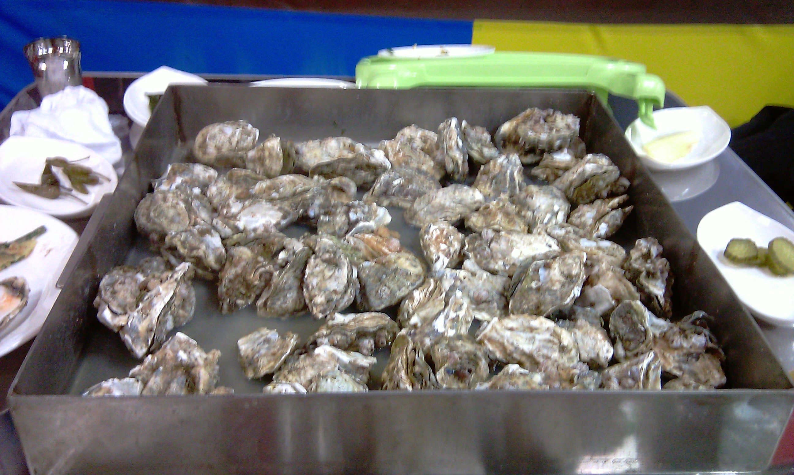 커다란 금속 쟁반 가득 신선한 껍데기 굴, 소스 접시