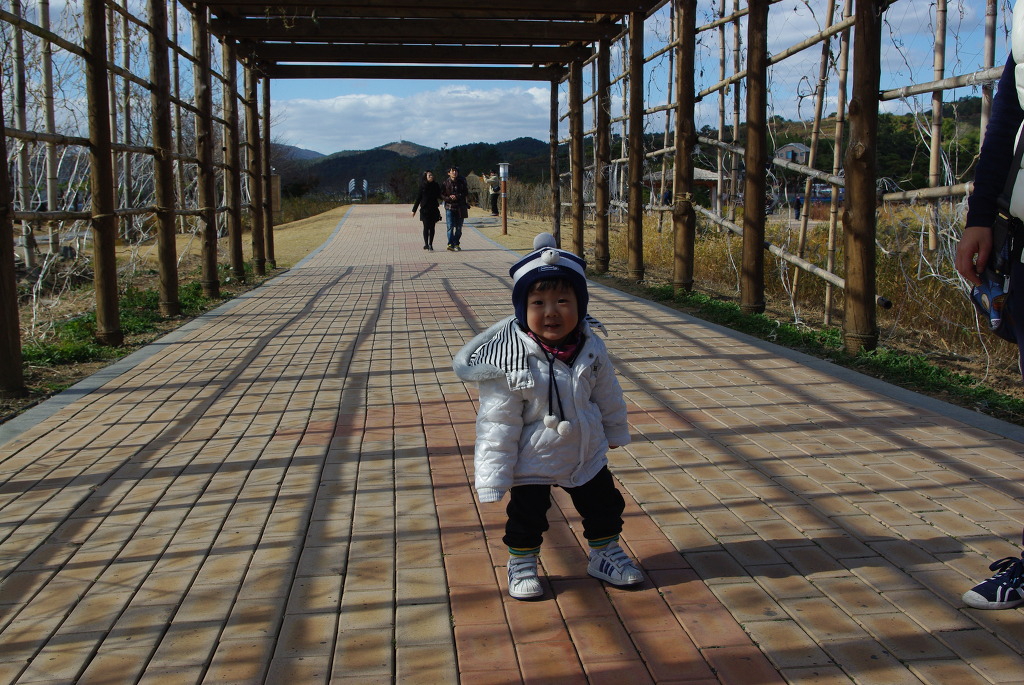 웃는 하얀 패딩 재킷 아이, 줄무늬 모자, 벽돌 보도, 나무 퍼골라.