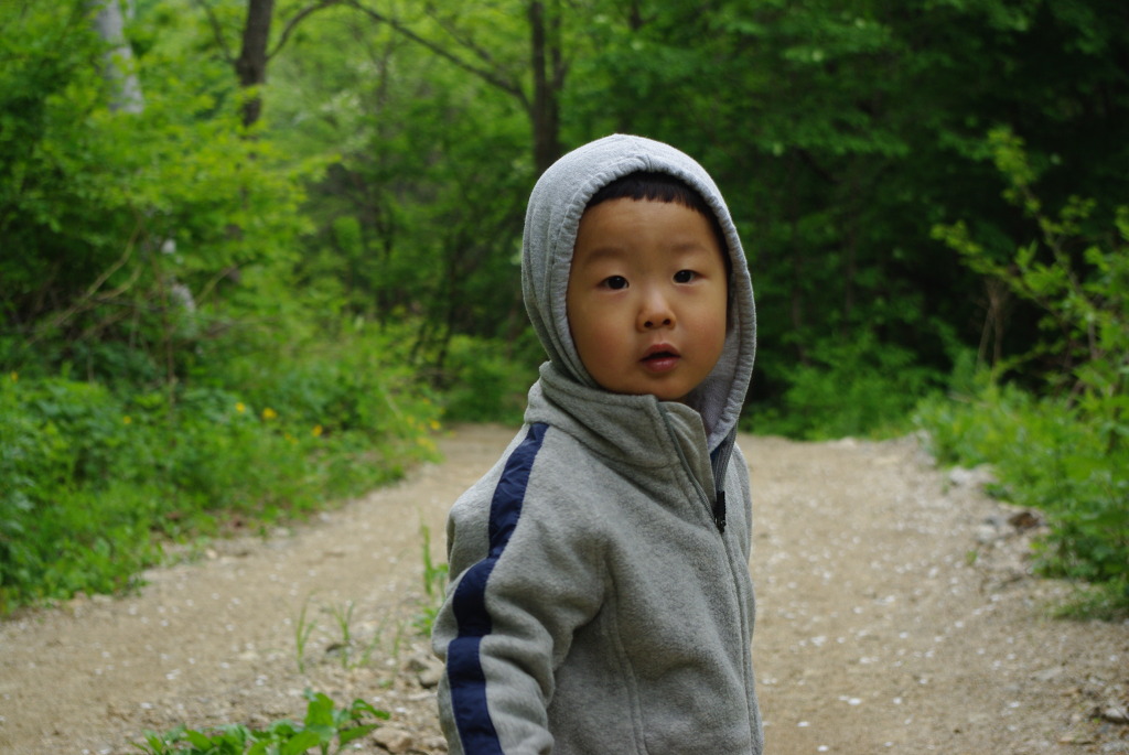 강원도 천상의 화원 - 곰배령 여행(5/28~29) 28